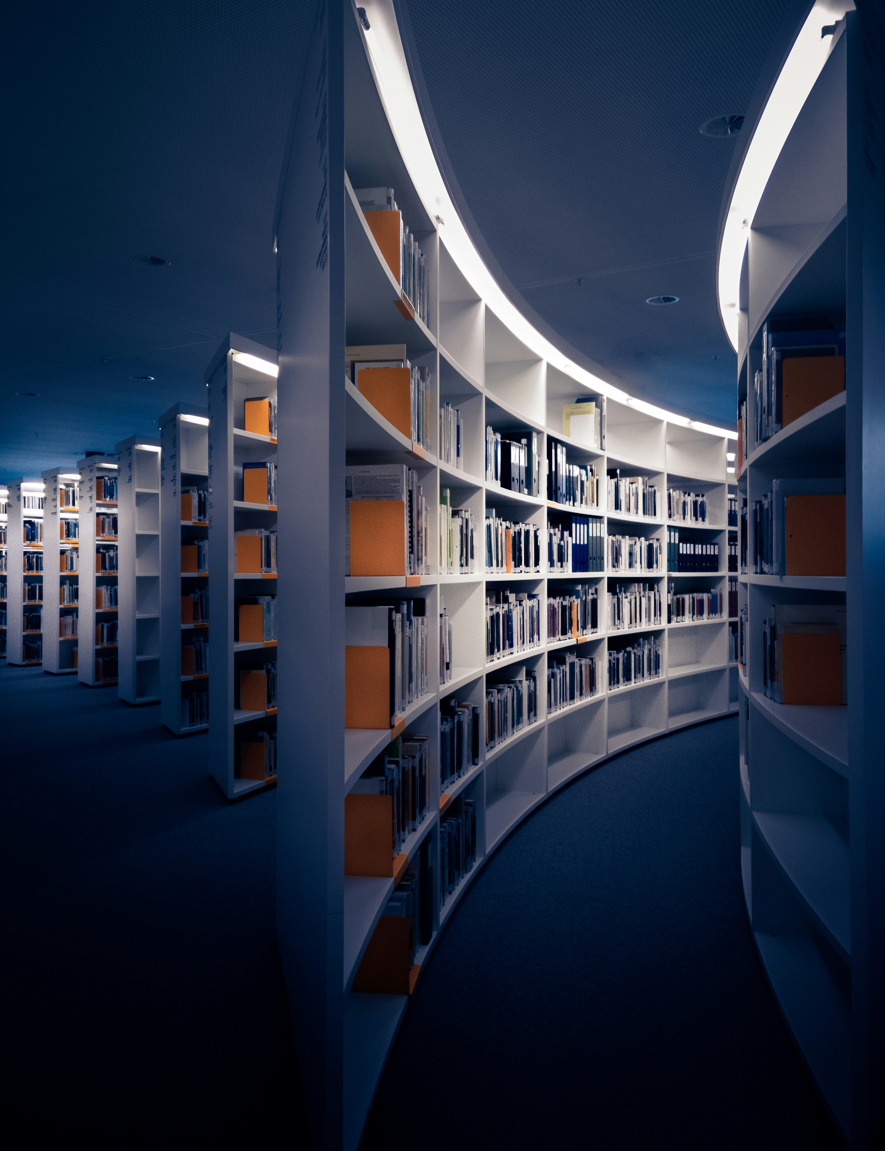 Education library bookshelves